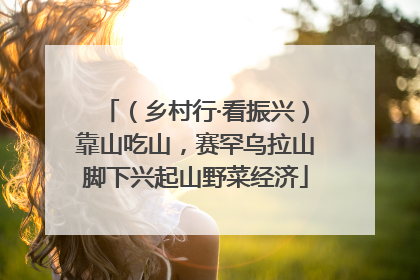 （乡村行·看振兴）靠山吃山，赛罕乌拉山脚下兴起山野菜经济