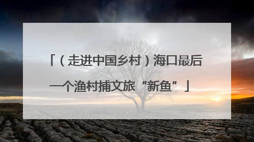 （走进中国乡村）海口最后一个渔村捕文旅“新鱼”