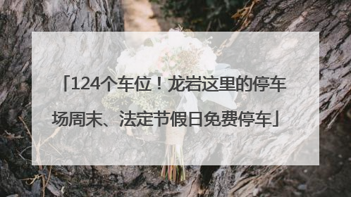 124个车位！龙岩这里的停车场周末、法定节假日免费停车