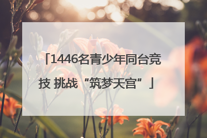 1446名青少年同台竞技 挑战“筑梦天宫”
