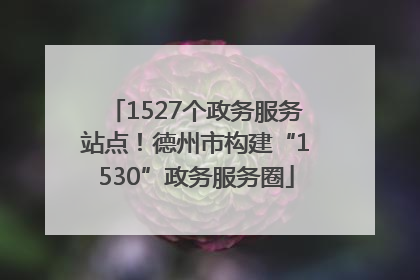 1527个政务服务站点！德州市构建“1530”政务服务圈