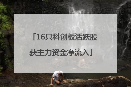16只科创板活跃股获主力资金净流入