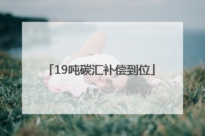19吨碳汇补偿到位