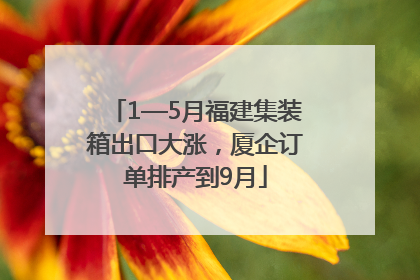 1—5月福建集装箱出口大涨，厦企订单排产到9月