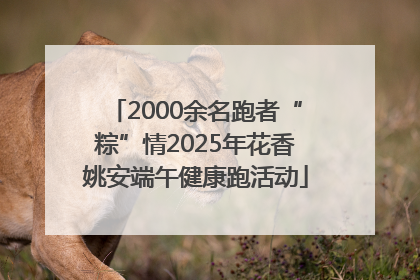 2000余名跑者“粽”情2025年花香姚安端午健康跑活动