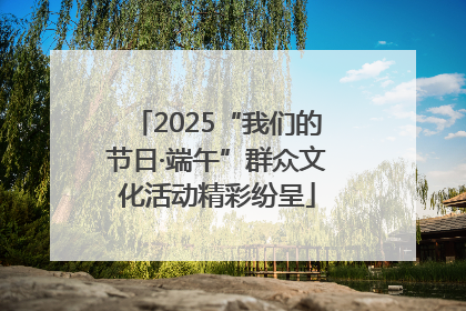 2025“我们的节日·端午”群众文化活动精彩纷呈
