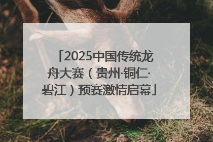 2025中国传统龙舟大赛（贵州·铜仁·碧江）预赛激情启幕