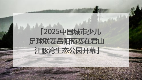 2025中国城市少儿足球联赛岳阳预赛在君山江豚湾生态公园开幕