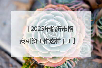 2025年临沂市招商引资工作这样干！