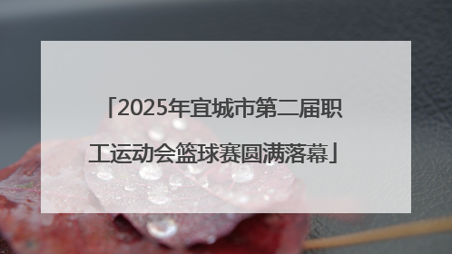 2025年宜城市第二届职工运动会篮球赛圆满落幕
