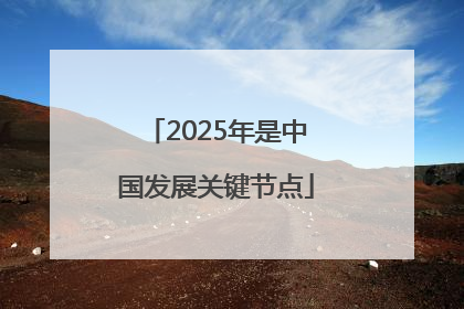 2025年是中国发展关键节点