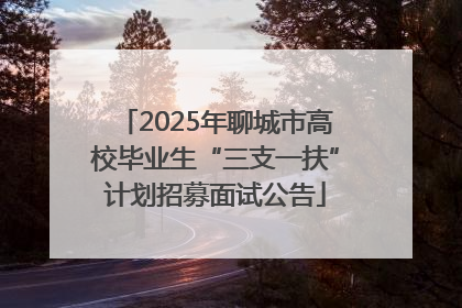2025年聊城市高校毕业生“三支一扶”计划招募面试公告