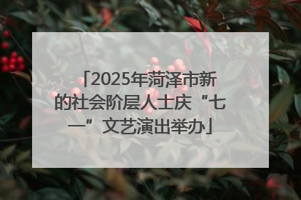 2025年菏泽市新的社会阶层人士庆“七一”文艺演出举办