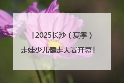 2025长沙（夏季）走娃少儿健走大赛开幕
