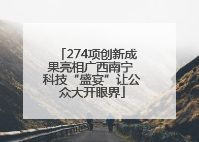 274项创新成果亮相广西南宁 科技“盛宴”让公众大开眼界