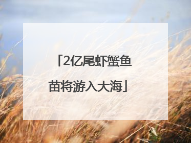 2亿尾虾蟹鱼苗将游入大海