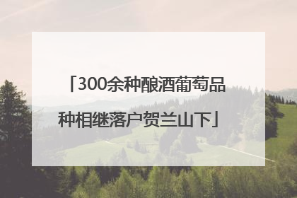 300余种酿酒葡萄品种相继落户贺兰山下
