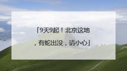 9天9起！北京这地，有蛇出没，请小心