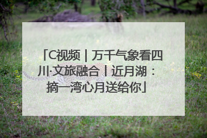 C视频｜万千气象看四川·文旅融合丨近月湖：摘一湾心月送给你