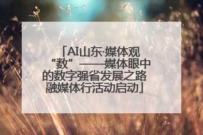AI山东·媒体观“数”——媒体眼中的数字强省发展之路融媒体行活动启动