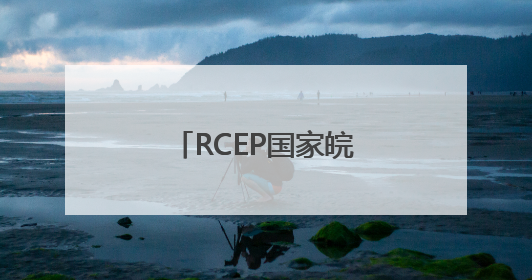RCEP国家皖籍侨团联盟扩容
