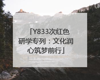 Y833次红色研学专列：文化润心筑梦前行